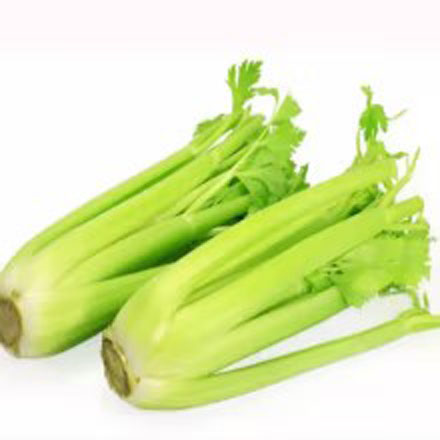 ۣԽƢֹȣȣʪĹЧ