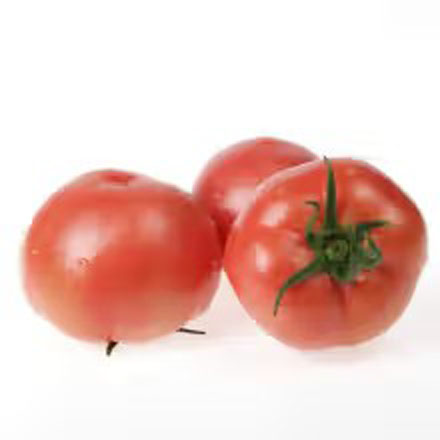 Ӳެѡެӡӡѡ