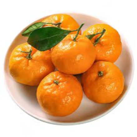 ڹɰٵժɳǽСиˮӦ