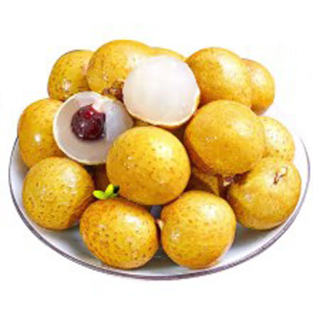 ʲժˮӦʹԲ
