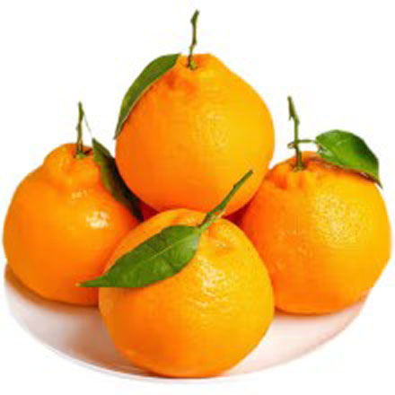 ĴҰҸӽˮɳʱӦ